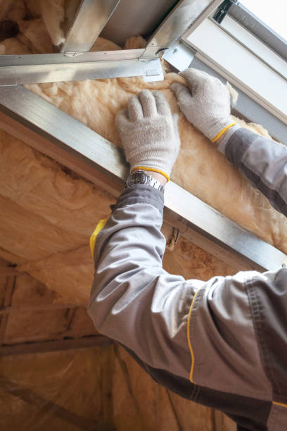 Best Insulation Maintenance and Repair in Lasalle, IL
