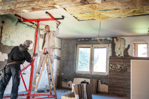 Best Commercial Insulation in Lasalle, IL